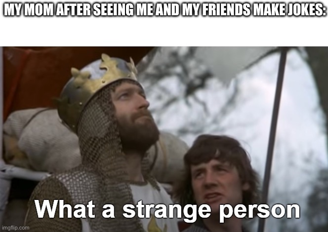 What a strange person | MY MOM AFTER SEEING ME AND MY FRIENDS MAKE JOKES: | image tagged in what a strange person | made w/ Imgflip meme maker