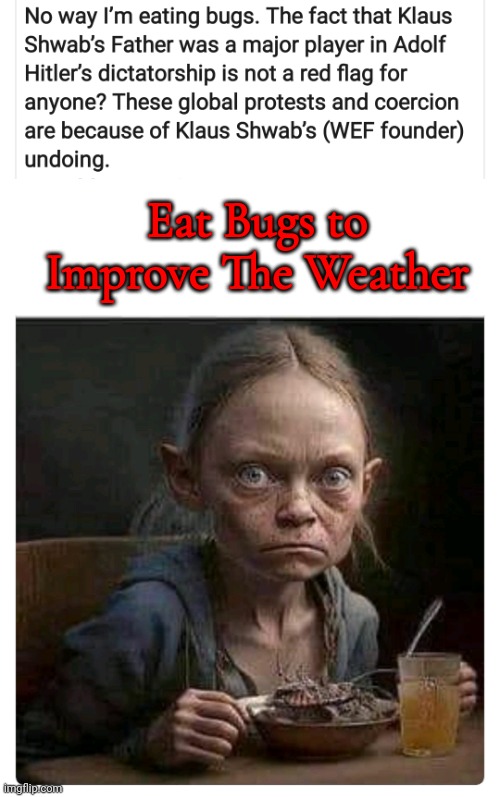 Eat Bugs and Be Happy | Eat Bugs to Improve The Weather | image tagged in eat bugs and be happy | made w/ Imgflip meme maker