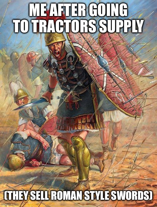 I NEED A SWORD | ME AFTER GOING TO TRACTORS SUPPLY; (THEY SELL ROMAN STYLE SWORDS) | image tagged in roman soldier | made w/ Imgflip meme maker