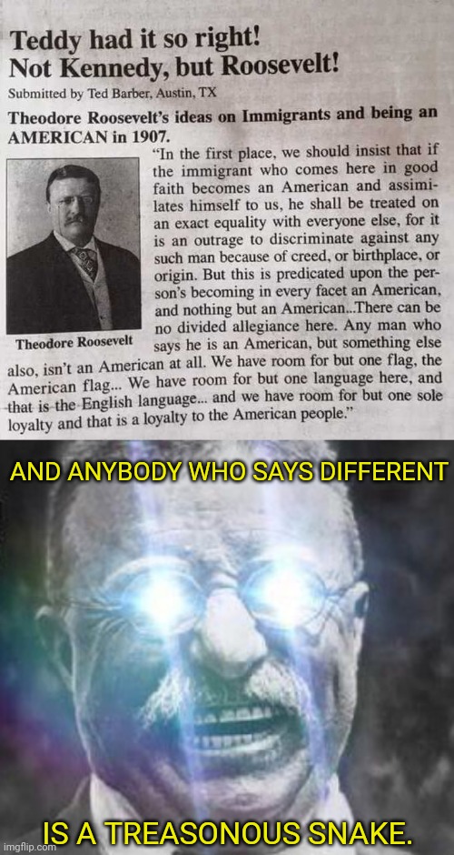 Teddy Had It Right!!! | AND ANYBODY WHO SAYS DIFFERENT; IS A TREASONOUS SNAKE. | image tagged in teddy roosevelt glowing eyes,illegal immigration | made w/ Imgflip meme maker
