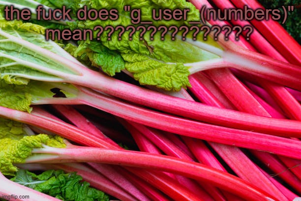 rhubarb | the fuck does "g_user_(numbers)" mean??????????????? | image tagged in rhubarb | made w/ Imgflip meme maker
