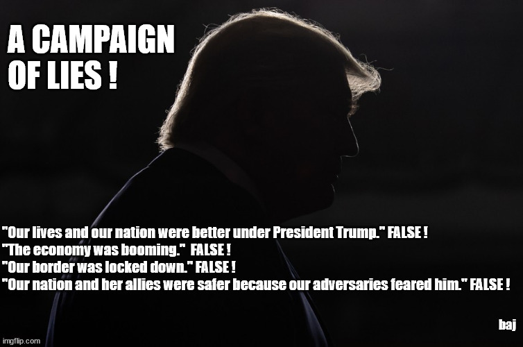 A Campaign of Lies | baj | image tagged in donald trump,lies | made w/ Imgflip meme maker