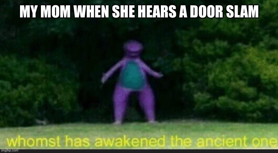 I Sleep Real Shit Dino | MY MOM WHEN SHE HEARS A DOOR SLAM | image tagged in memes | made w/ Imgflip meme maker