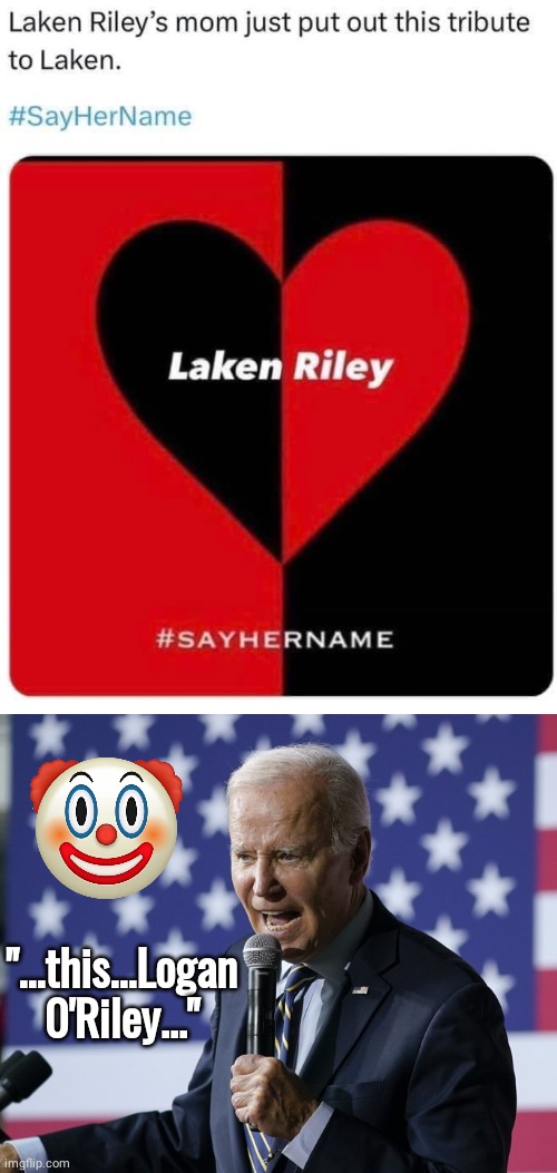 Biden screws up name | "...this...Logan 0'Riley..." | image tagged in angry biden flag,idiot | made w/ Imgflip meme maker