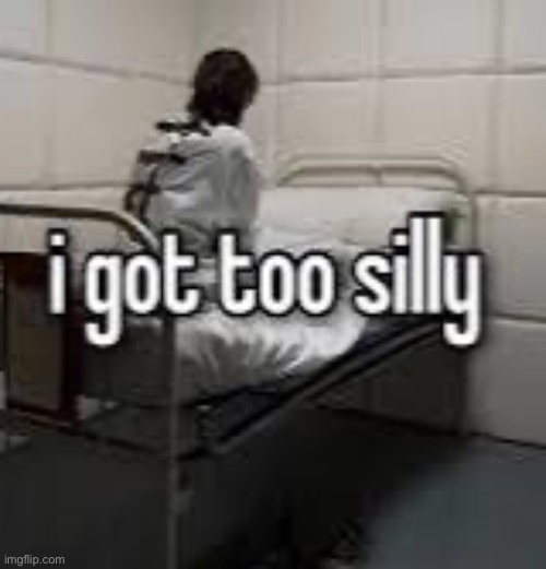 I got too silly | image tagged in i got too silly | made w/ Imgflip meme maker