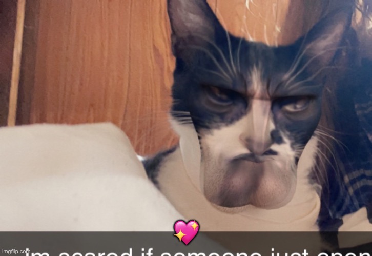 my cat has balls chin | 💖 | made w/ Imgflip meme maker