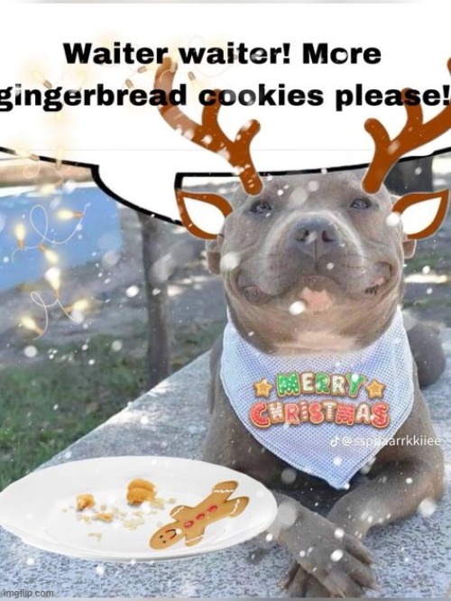i don't care if it's march, i still have the christmas spirit in me all year long | made w/ Imgflip meme maker