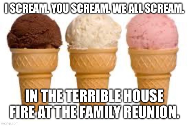 That I may or may not have caused but you didn’t hear that from me. | I SCREAM. YOU SCREAM. WE ALL SCREAM. IN THE TERRIBLE HOUSE FIRE AT THE FAMILY REUNION. | image tagged in ice cream cone | made w/ Imgflip meme maker