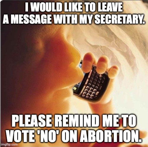 Baby in womb on cell phone - fetus blackberry | I WOULD LIKE TO LEAVE A MESSAGE WITH MY SECRETARY. PLEASE REMIND ME TO VOTE 'NO' ON ABORTION. | image tagged in baby in womb on cell phone - fetus blackberry | made w/ Imgflip meme maker
