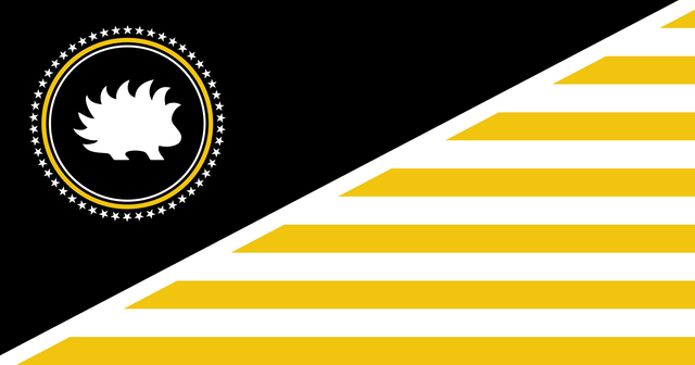 American anarcho-capitalist libertarian flag Blank Meme Template