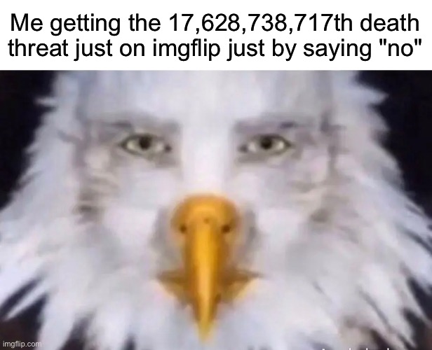 eagle straight face | Me getting the 17,628,738,717th death threat just on imgflip just by saying "no" | image tagged in eagle straight face | made w/ Imgflip meme maker
