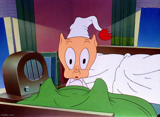 Porky Pig Shock | image tagged in porky pig shock | made w/ Imgflip meme maker
