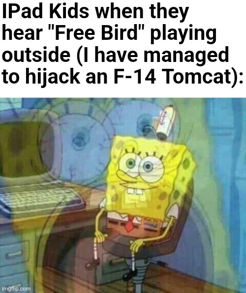 WON'T YOU FLYYYYY HIGHHHHHH, FREEEEEEE BIRD, YEAH! | IPad Kids when they hear "Free Bird" playing outside (I have managed to hijack an F-14 Tomcat): | image tagged in spongebob panic inside,free,bird | made w/ Imgflip meme maker