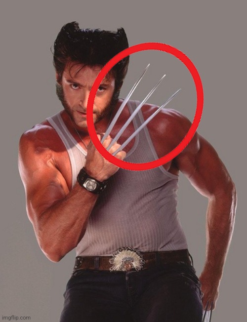 Wolverine | image tagged in wolverine | made w/ Imgflip meme maker