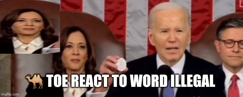 State of union 2024 | 🐫 TOE REACT TO WORD ILLEGAL | image tagged in creepy uncle joe,camel toe,democrats | made w/ Imgflip meme maker
