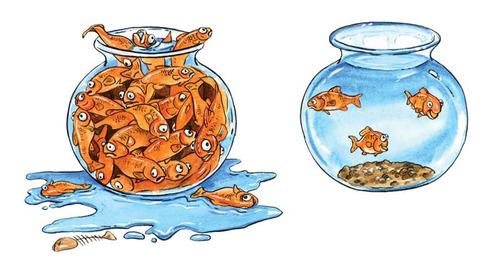 Goldfish bowls Blank Meme Template