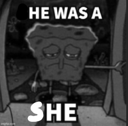 he was a she | image tagged in she was a he | made w/ Imgflip meme maker