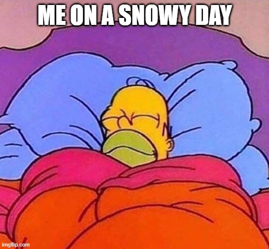 Homer Simpson sleeping peacefully | ME ON A SNOWY DAY | image tagged in homer simpson sleeping peacefully | made w/ Imgflip meme maker