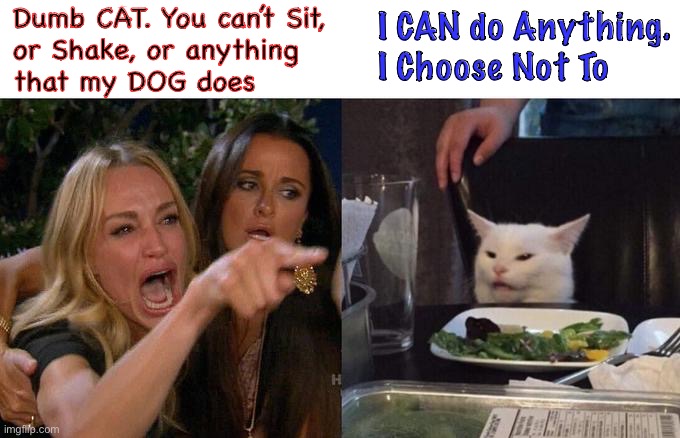 It’s a matter of wanting to | Dumb CAT. You can’t Sit,
or Shake, or anything
that my DOG does; I CAN do Anything.
I Choose Not To | image tagged in memes,woman yelling at cat | made w/ Imgflip meme maker