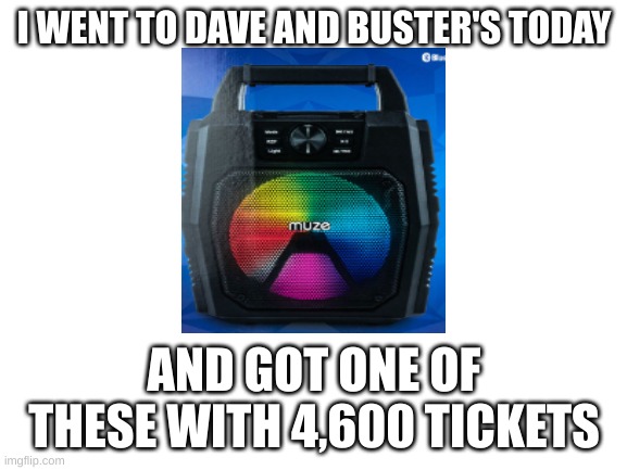 Blank White Template | I WENT TO DAVE AND BUSTER'S TODAY; AND GOT ONE OF THESE WITH 4,600 TICKETS | image tagged in blank white template | made w/ Imgflip meme maker