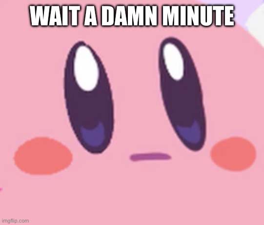 Blank Kirby Face | WAIT A DAMN MINUTE | image tagged in blank kirby face | made w/ Imgflip meme maker