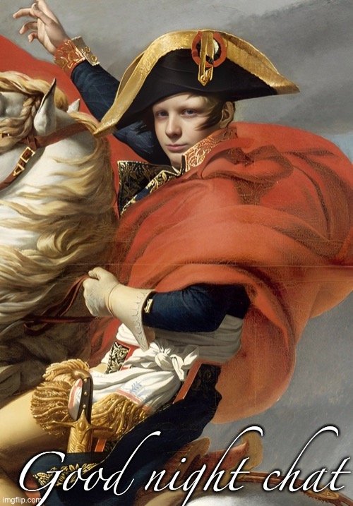 Murderous is Napoleon Bonaparte confirmed | Good night chat | image tagged in murderous is napoleon bonaparte confirmed | made w/ Imgflip meme maker