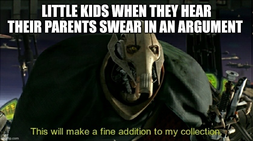 Anyone else notice this? | LITTLE KIDS WHEN THEY HEAR THEIR PARENTS SWEAR IN AN ARGUMENT | image tagged in this will make a fine addition to my collection | made w/ Imgflip meme maker