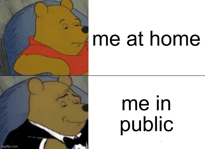 Tuxedo Winnie The Pooh Meme | me at home; me in public | image tagged in memes,tuxedo winnie the pooh | made w/ Imgflip meme maker
