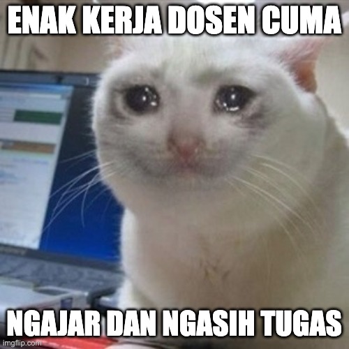 enak kerja dosen cuma | ENAK KERJA DOSEN CUMA; NGAJAR DAN NGASIH TUGAS | image tagged in crying cat | made w/ Imgflip meme maker