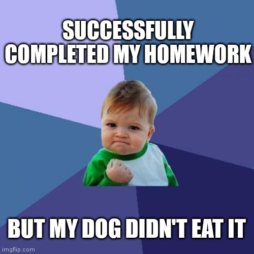 Homework Done, Dog Uninterested | SUCCESSFULLY COMPLETED MY HOMEWORK; BUT MY DOG DIDN'T EAT IT | image tagged in memes,success kid | made w/ Imgflip meme maker