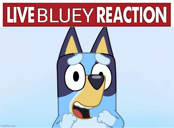 Live Bluey Reaction | BLUEY | image tagged in live reaction,bluey,funny | made w/ Imgflip meme maker