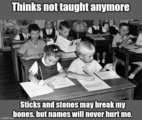 Thinks not taught anymore; Sticks and stones may break my bones, but names will never hurt me. | made w/ Imgflip meme maker