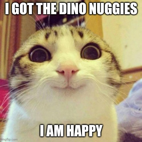 Happy boi got the nuggies | I GOT THE DINO NUGGIES; I AM HAPPY | image tagged in memes,smiling cat | made w/ Imgflip meme maker