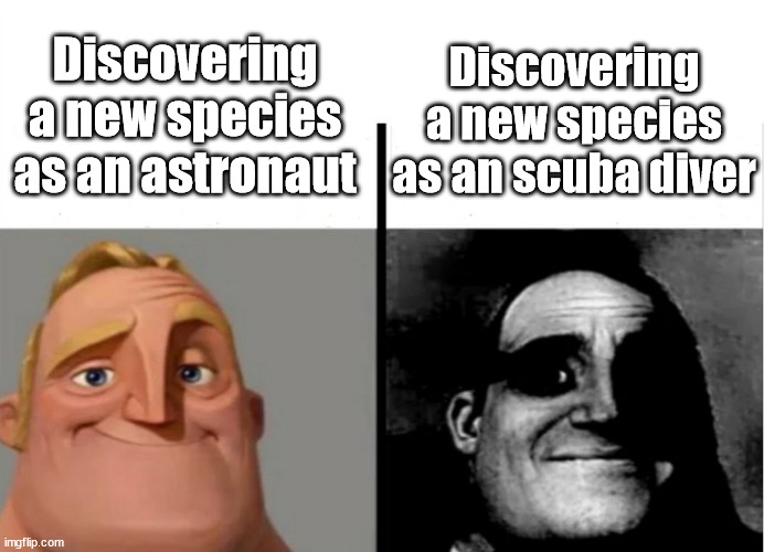 Teacher's Copy | Discovering a new species as an astronaut; Discovering a new species as an scuba diver | image tagged in teacher's copy | made w/ Imgflip meme maker