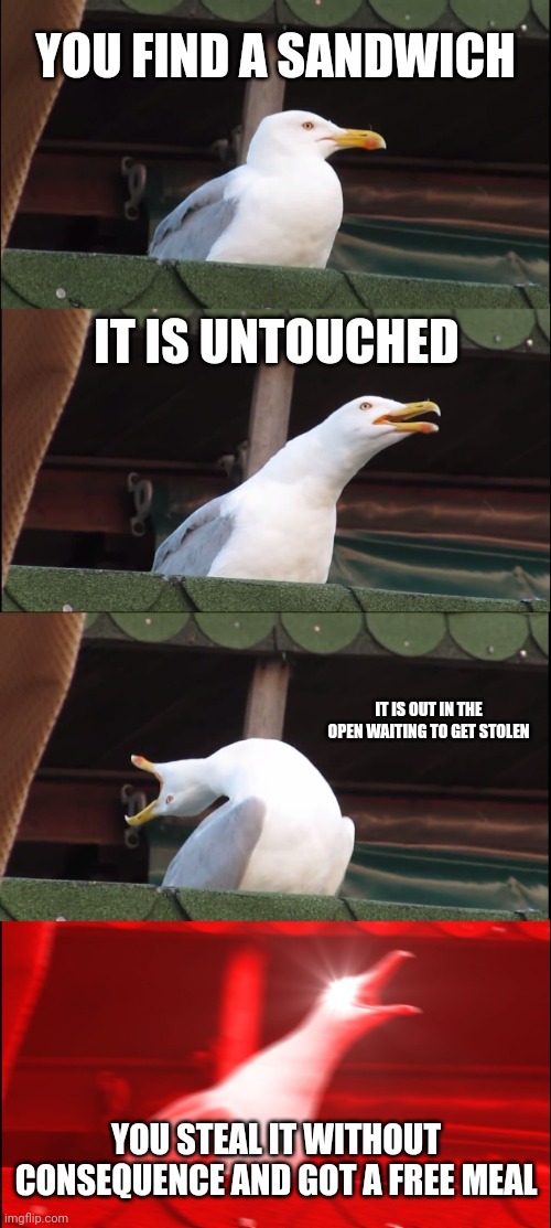 Seagulls life I guess for now | YOU FIND A SANDWICH; IT IS UNTOUCHED; IT IS OUT IN THE OPEN WAITING TO GET STOLEN; YOU STEAL IT WITHOUT CONSEQUENCE AND GOT A FREE MEAL | image tagged in memes,inhaling seagull | made w/ Imgflip meme maker