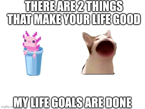 Life | THERE ARE 2 THINGS THAT MAKE YOUR LIFE GOOD; MY LIFE GOALS ARE DONE | image tagged in memes | made w/ Imgflip meme maker