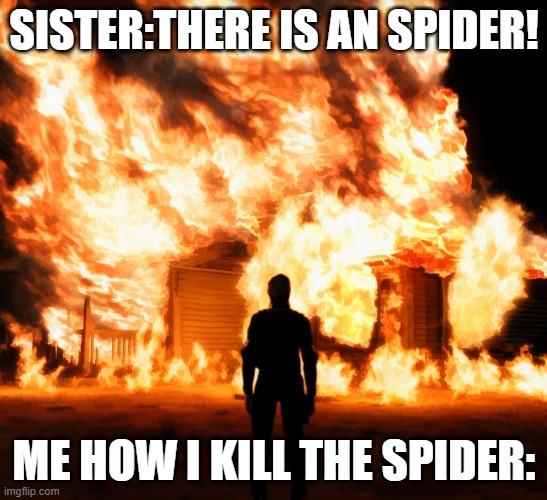 OH NO AN SIPDER! | SISTER:THERE IS AN SPIDER! ME HOW I KILL THE SPIDER: | image tagged in saw a spider | made w/ Imgflip meme maker