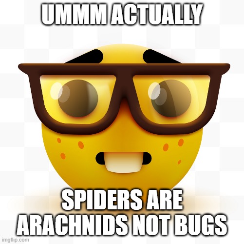 Nerd emoji | UMMM ACTUALLY SPIDERS ARE ARACHNIDS NOT BUGS | image tagged in nerd emoji | made w/ Imgflip meme maker