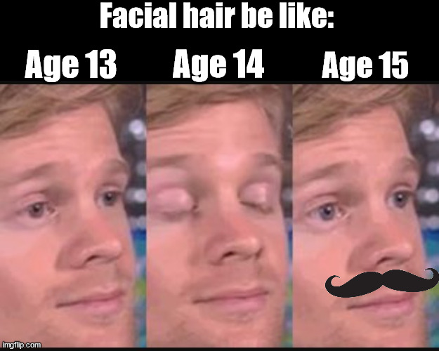 You read the title | Facial hair be like:; Age 13; Age 14; Age 15 | image tagged in blinking guy,facial hair,relatable,teenagers | made w/ Imgflip meme maker
