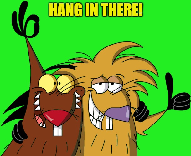 Beavers | HANG IN THERE! | image tagged in beavers | made w/ Imgflip meme maker
