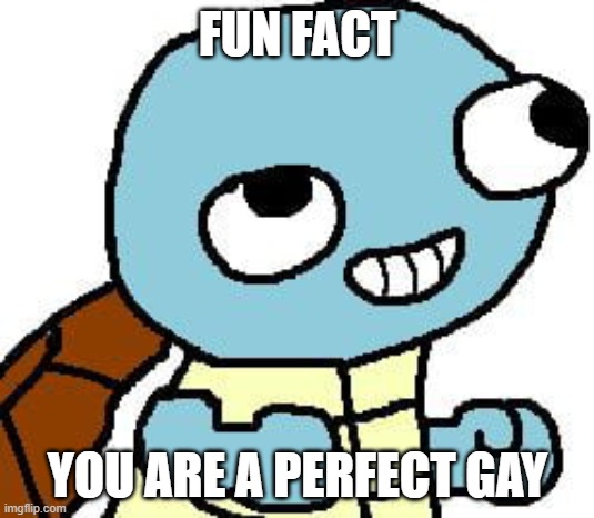 squirtle meme | FUN FACT YOU ARE A PERFECT GAY | image tagged in squirtle meme | made w/ Imgflip meme maker