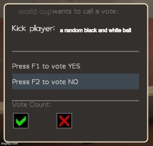 vote ban/vote kick | world cup; a random black and white ball | image tagged in vote ban/vote kick,memes | made w/ Imgflip meme maker