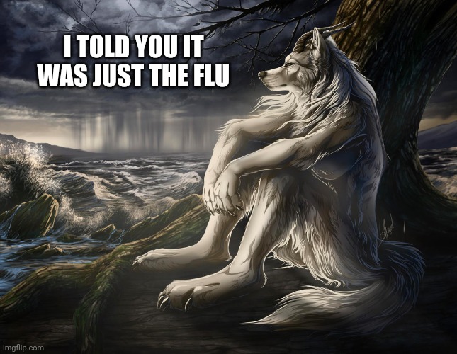 Sitting Wolf | I TOLD YOU IT WAS JUST THE FLU | image tagged in sitting wolf | made w/ Imgflip meme maker