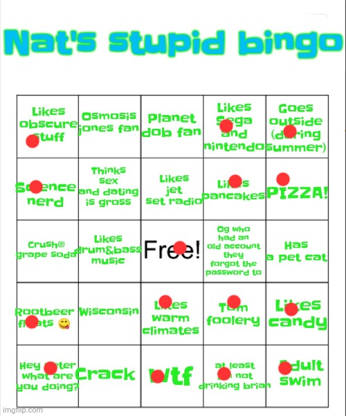 Nat's stupid bingo | image tagged in nat's stupid bingo | made w/ Imgflip meme maker