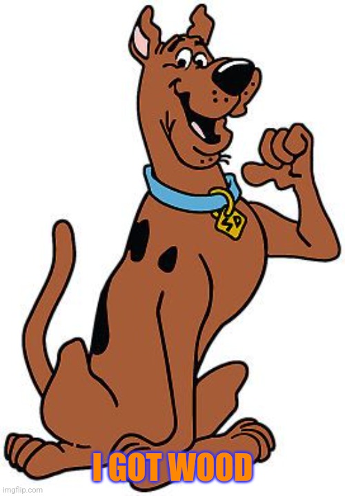 Scooby Doo | I GOT WOOD | image tagged in scooby doo | made w/ Imgflip meme maker