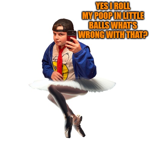 YES I ROLL MY POOP IN LITTLE BALLS WHAT'S WRONG WITH THAT? | made w/ Imgflip meme maker
