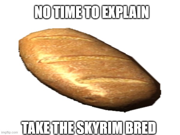 bred | NO TIME TO EXPLAIN; TAKE THE SKYRIM BRED | image tagged in bred | made w/ Imgflip meme maker