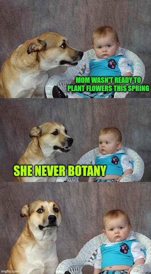 Dad Joke Dog | MOM WASN'T READY TO PLANT FLOWERS THIS SPRING; SHE NEVER BOTANY | image tagged in memes,dad joke dog | made w/ Imgflip meme maker