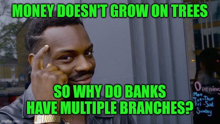 Roll Safe Think About It | MONEY DOESN'T GROW ON TREES; SO WHY DO BANKS HAVE MULTIPLE BRANCHES? | image tagged in memes,roll safe think about it | made w/ Imgflip meme maker