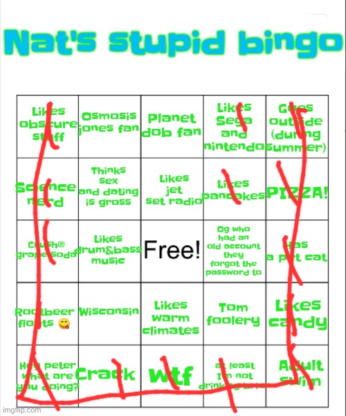 Nat's stupid bingo | image tagged in nat's stupid bingo | made w/ Imgflip meme maker